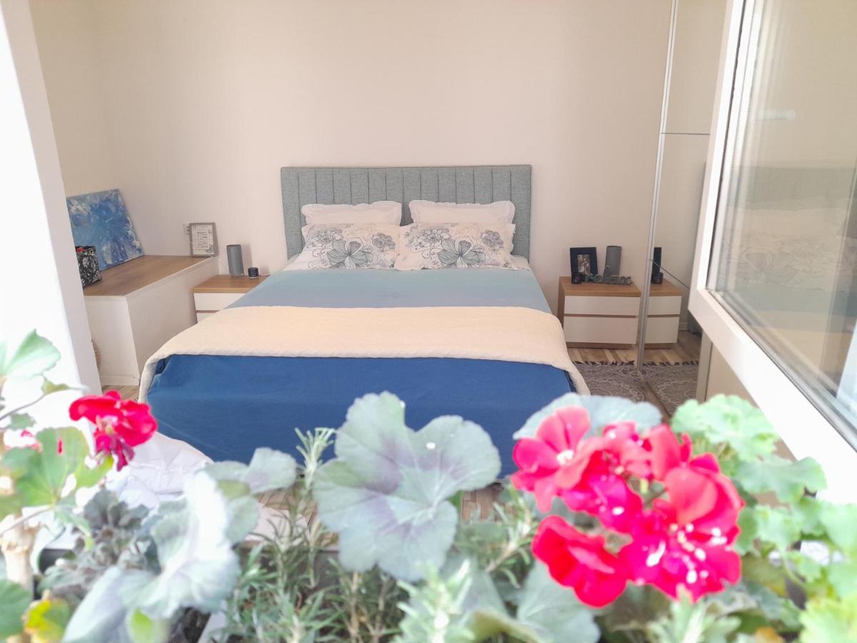 Nautica Free Parking Apartment Sibenik Bagian luar foto